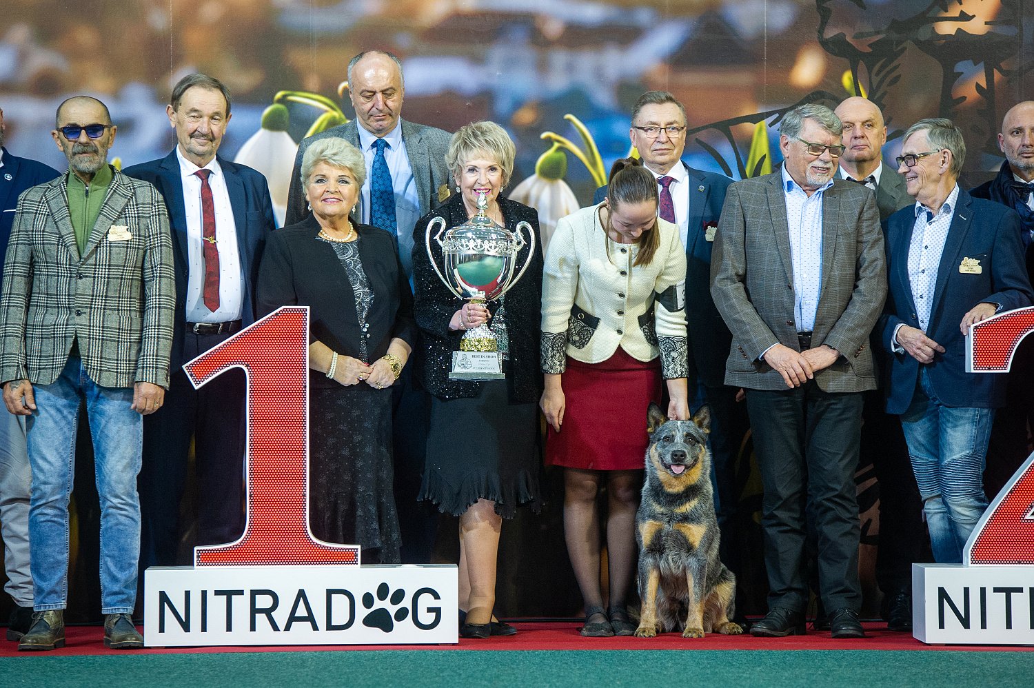 JACK NITRA 02.24