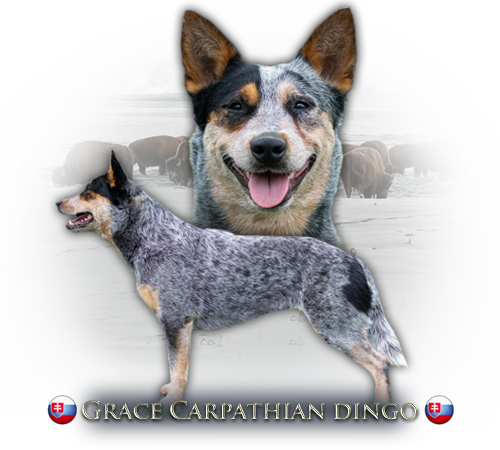 grace.png